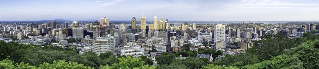 Montréal skyline at golden hour viewed from Mount Royal