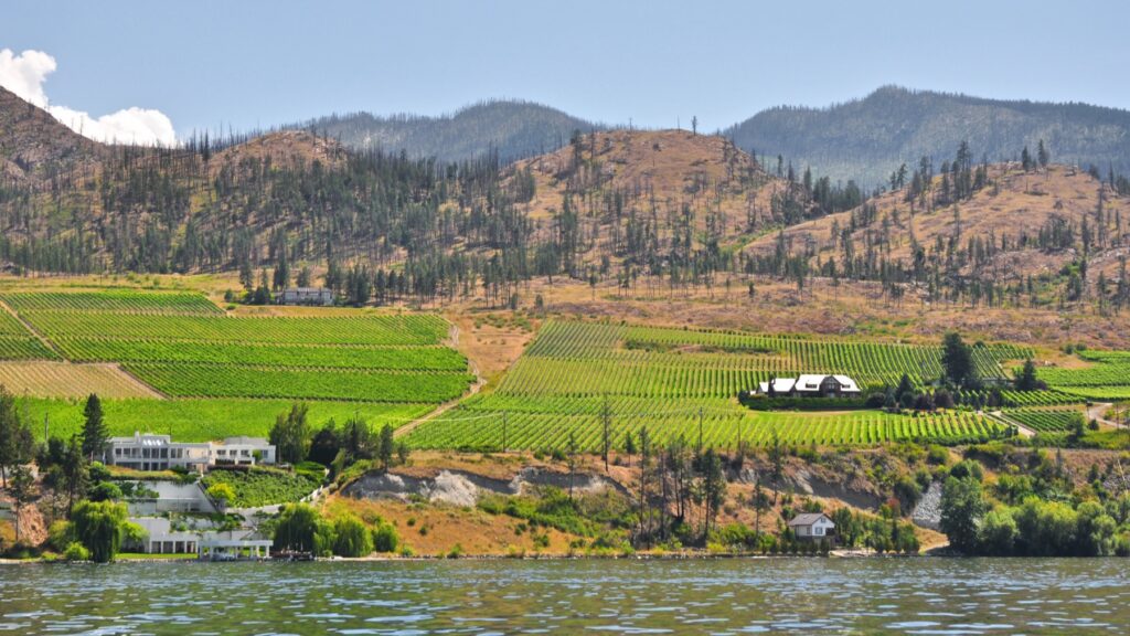 从 Okanagan Lake 看 Kelowna 一带葡萄园