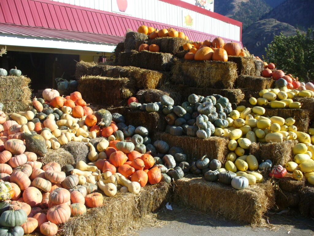 Keremeos 的 Mariposa Fruit Stand 水果摊