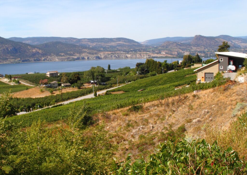 Naramata Bench 一带的葡萄园与 Okanagan Lake 景观